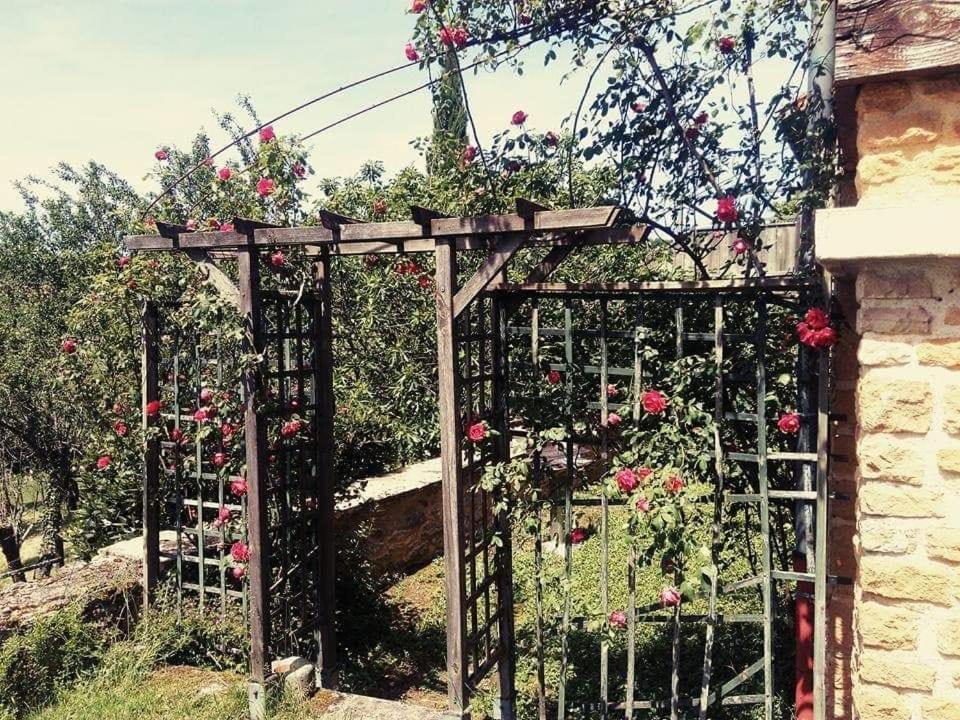 Une Evasion Dans Les Pierres Dorees Moire Екстер'єр фото